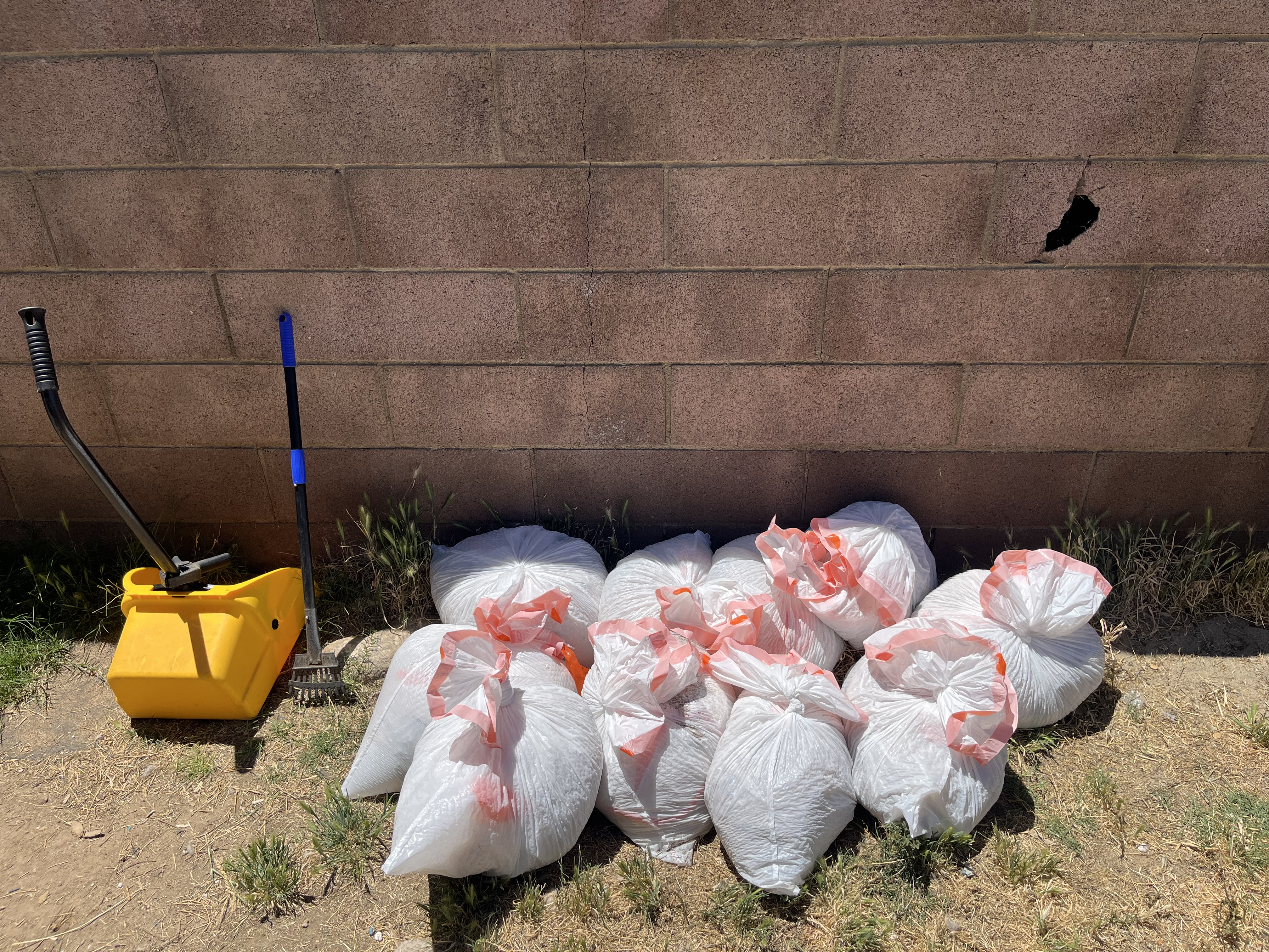 Dog waste bags after large yard cleanup in Lancaster CA