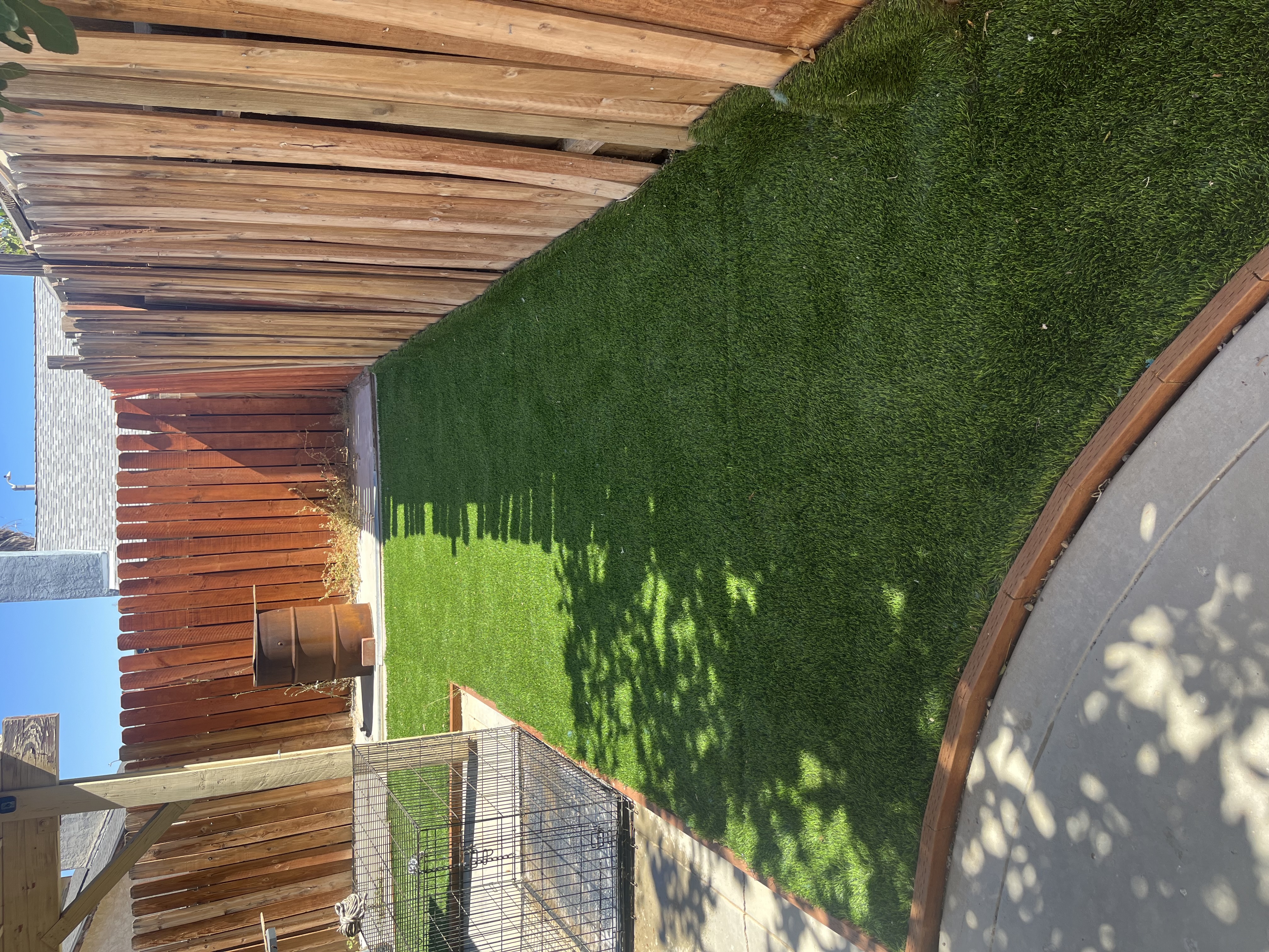 Yard after dog waste cleanup Lancaster CA